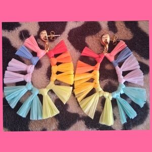 🌸3/$10-Colorful Tassel Hoop Earrings